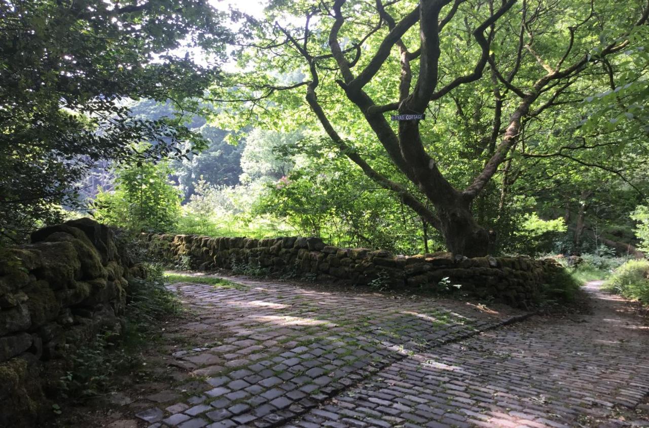 Tyas Cottage Slaithwaite Екстер'єр фото
